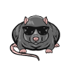Rat lovers