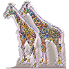 Kunstdruck Giraffen frei farbig