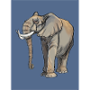 Elefant