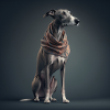 Windhund, Design 1