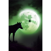 Wolf and Moon
