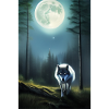 Wolf and Moon
