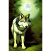 Wolf and Moon