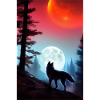 Wolf and Moon
