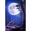 Wolf and Moon