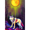 Wolf and Moon