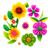 Fleurs de printemps