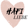 Haflinger Liebe