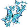 Butterflies