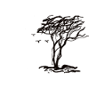 windflüchter 2