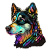 HEAD OF HUSKY
