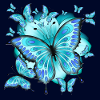 Schmetterlinge mit Blume