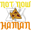 Not Now Haman Purim Judaism