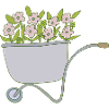 Wheelbarrows Flowers
