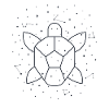 Constellation Aquatic Turtle constellation