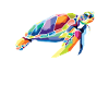 Polygone tortue aquatique