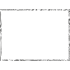 NO RULES
