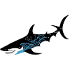 Blue shining shark