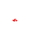 Manou