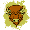Buffalo 01