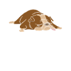 Procrastinating Life Quotes Procrastinator