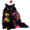 T Chat Lumières de Noël