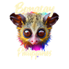 Tarsier on Boracay, Philippines