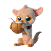 Cute dog drinks from coconut