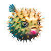 Inflated puffer fish