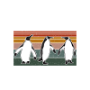 Penguin Lover Penguin Gifts