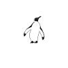 Penguin Lover Penguin Cadeaux
