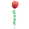 Tulips Tulips