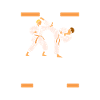 Karate Cat