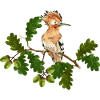 Bunter Vogel