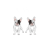 Hund Frenchie