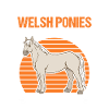 Welsh Pony Rider