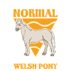 Cavalier de poney gallois