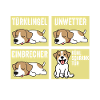Hund Jack Russell