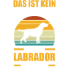 Hund Labrador