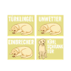 Hund Labrador