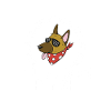 Hund Malinois