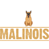 Dog Malinois