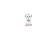 Dog Maltese