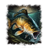 Carp