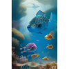 Fish, Aquarium