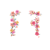 Maltese Mom