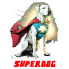 Superdog