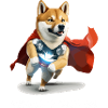 Superdog Shiba