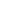 2023 Dash