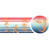 Medal Phoenix